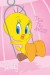tweety houhou