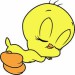 tweety sleep